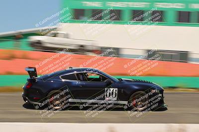 media/May-13-2023-Cobra Club (Sat) [[050fabdf37]]/Blue Group/Morning Session Turn 4/